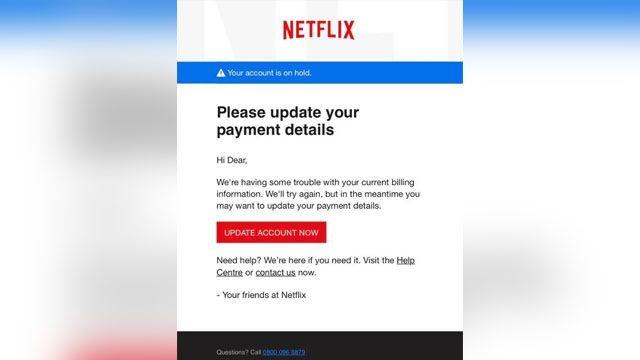 Netflix 网络钓鱼诈骗截图