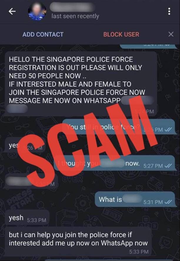 telegram scam 聊天截图